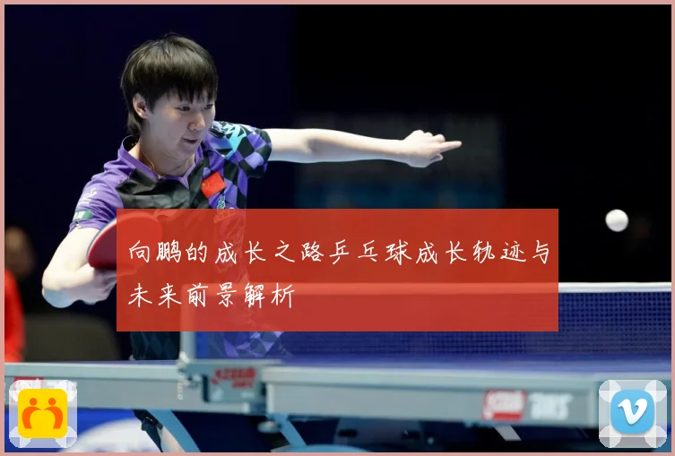 向鹏的成长之路乒乓球成长轨迹与未来前景解析