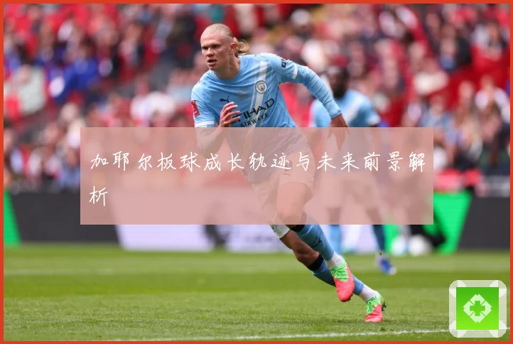 加耶尔板球成长轨迹与未来前景解析