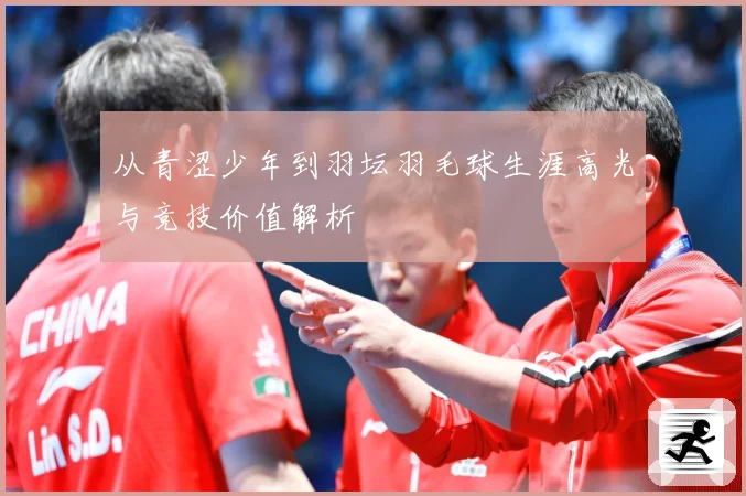 从青涩少年到羽坛羽毛球生涯高光与竞技价值解析