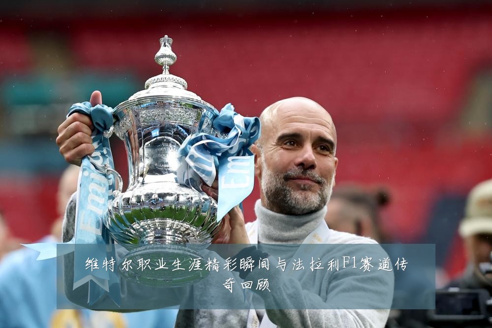 维特尔职业生涯精彩瞬间与法拉利F1赛道传奇回顾